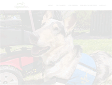 Tablet Screenshot of cooperativepaws.com